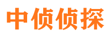 六安市婚外情调查